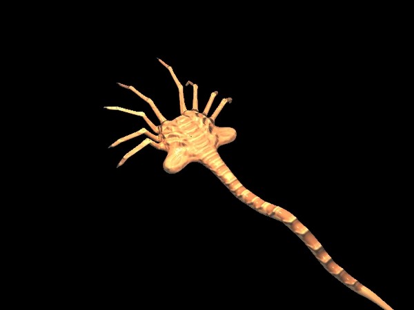 modeled facehugger egg 3d max - Facehugger N Egg. by Andrew Alonso